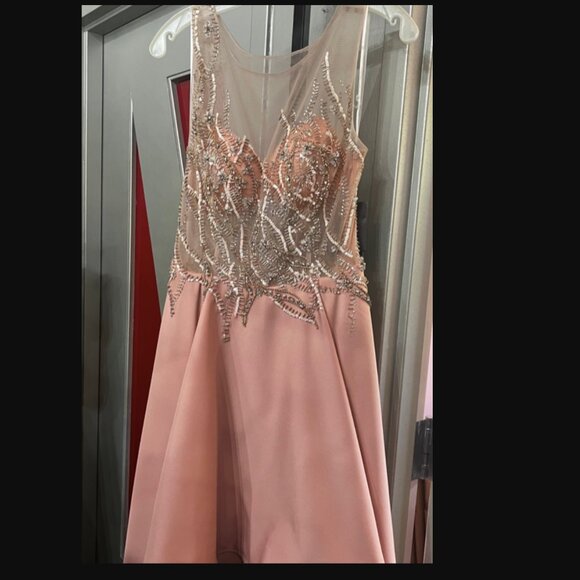 NEW TERANI COUTURE high low blush gown in blush - Picture 6 of 7